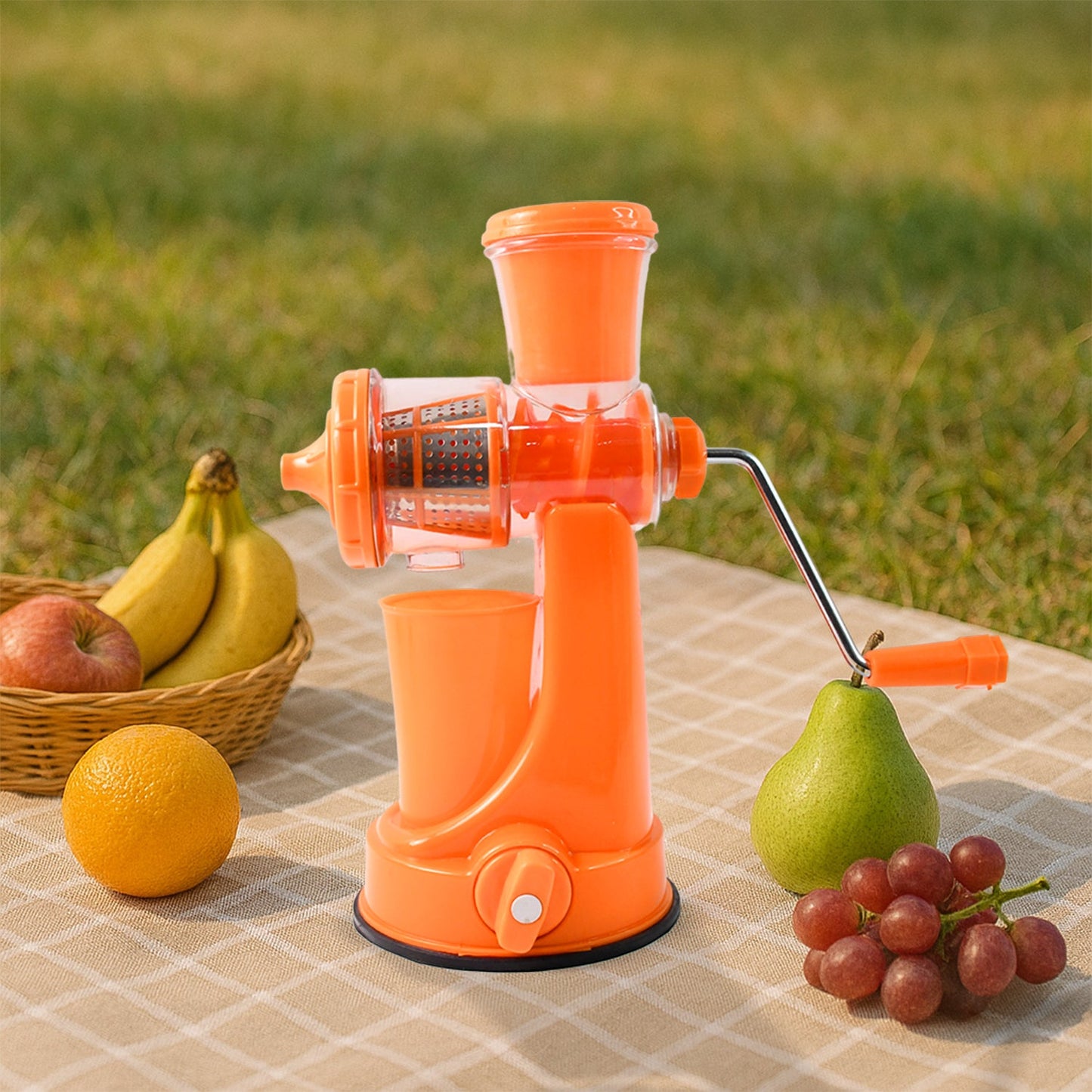 Manual Fruit Vegetable Juicer with Juice Cup and Waste Collector